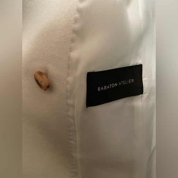 Aritzia Babaton Blazer - Picture 4 of 5